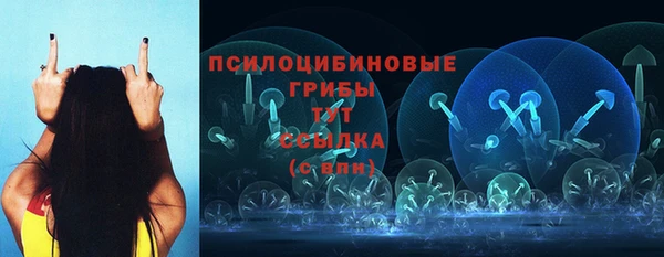 дживик Елабуга