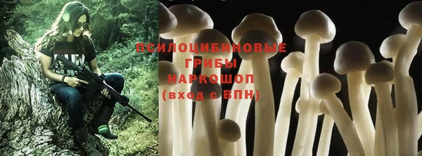бутират Ельня
