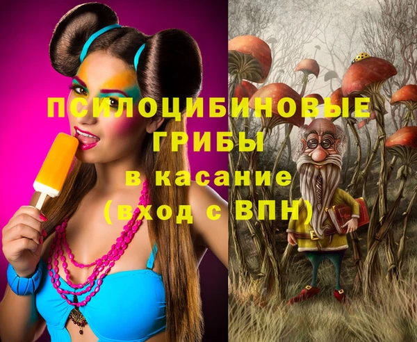 дживик Елабуга